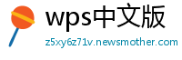 wps中文版